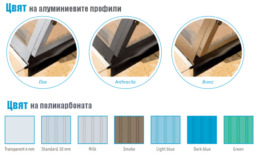 trend цветове